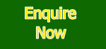 Enquire Here