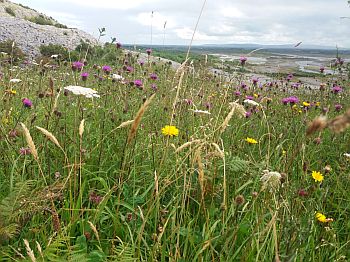 A Walk Within - Spiritual walk