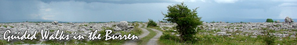 Walking Guide Burren Ireland