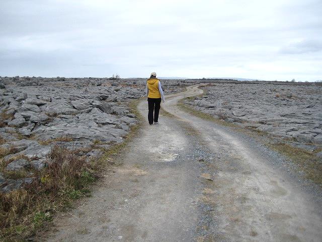 Burren Experience Walk