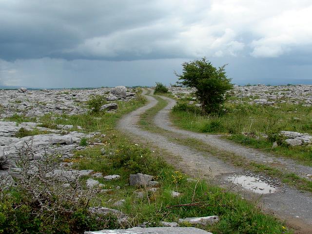 Mullaghmore Burren